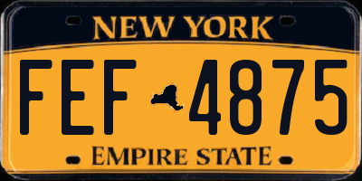 NY license plate FEF4875