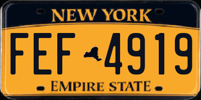 NY license plate FEF4919