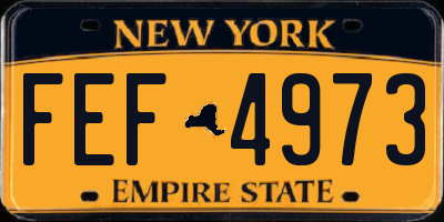NY license plate FEF4973