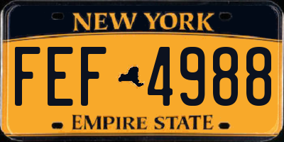 NY license plate FEF4988