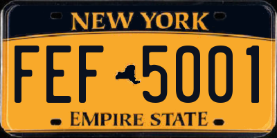NY license plate FEF5001