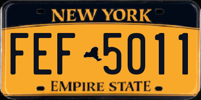 NY license plate FEF5011
