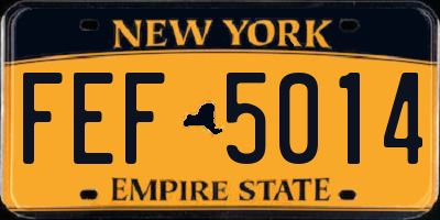 NY license plate FEF5014