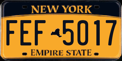 NY license plate FEF5017