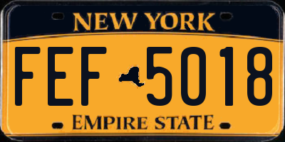 NY license plate FEF5018