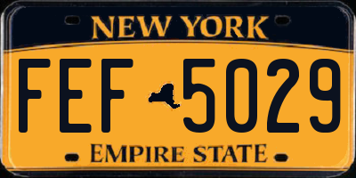 NY license plate FEF5029