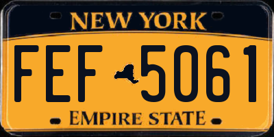 NY license plate FEF5061