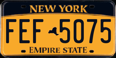 NY license plate FEF5075