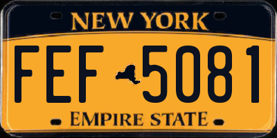 NY license plate FEF5081