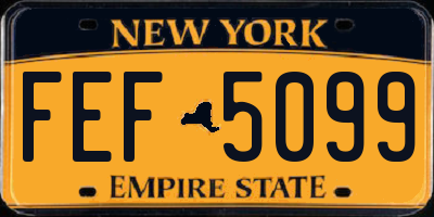 NY license plate FEF5099