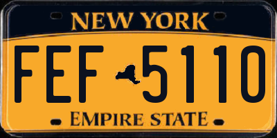 NY license plate FEF5110