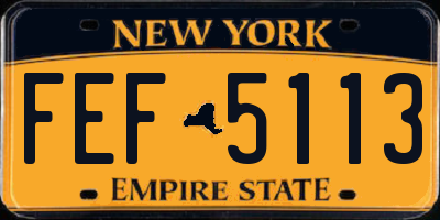 NY license plate FEF5113