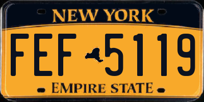 NY license plate FEF5119