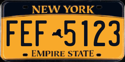 NY license plate FEF5123
