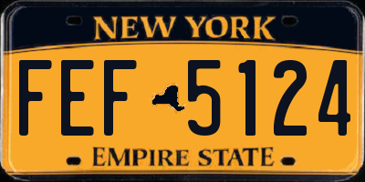 NY license plate FEF5124