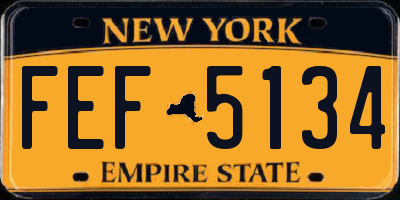 NY license plate FEF5134