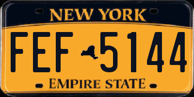 NY license plate FEF5144