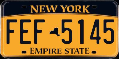 NY license plate FEF5145