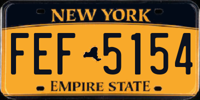 NY license plate FEF5154
