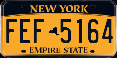 NY license plate FEF5164
