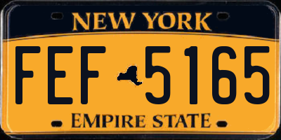 NY license plate FEF5165