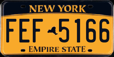 NY license plate FEF5166