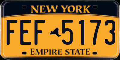 NY license plate FEF5173