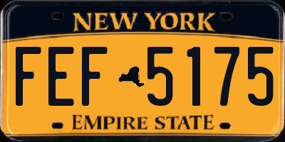 NY license plate FEF5175