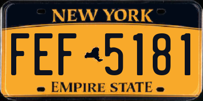 NY license plate FEF5181