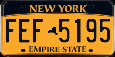 NY license plate FEF5195