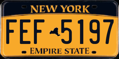 NY license plate FEF5197