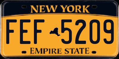 NY license plate FEF5209