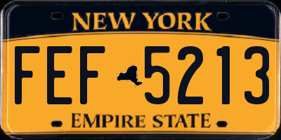 NY license plate FEF5213