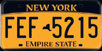 NY license plate FEF5215