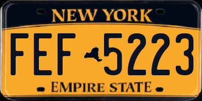 NY license plate FEF5223