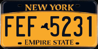NY license plate FEF5231