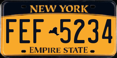 NY license plate FEF5234