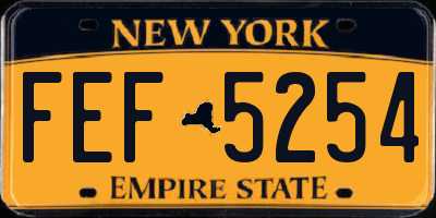 NY license plate FEF5254
