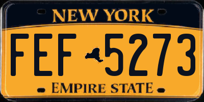 NY license plate FEF5273