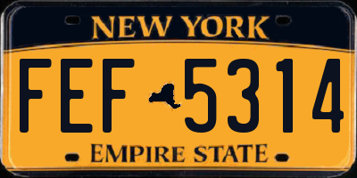 NY license plate FEF5314