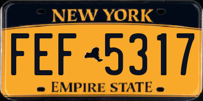 NY license plate FEF5317