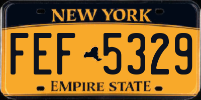 NY license plate FEF5329