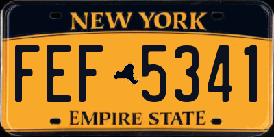 NY license plate FEF5341