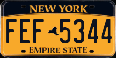 NY license plate FEF5344