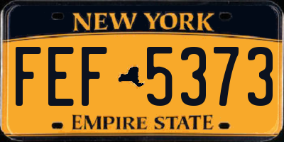 NY license plate FEF5373