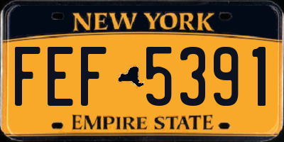 NY license plate FEF5391