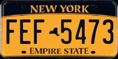 NY license plate FEF5473