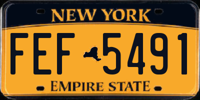 NY license plate FEF5491