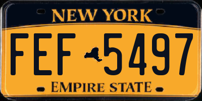NY license plate FEF5497