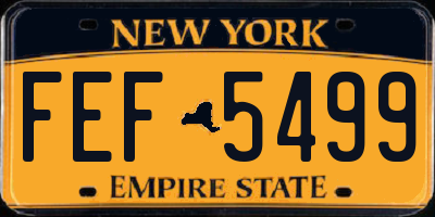 NY license plate FEF5499